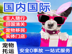 兴义万峰林航空空运国际宠物托运 【国